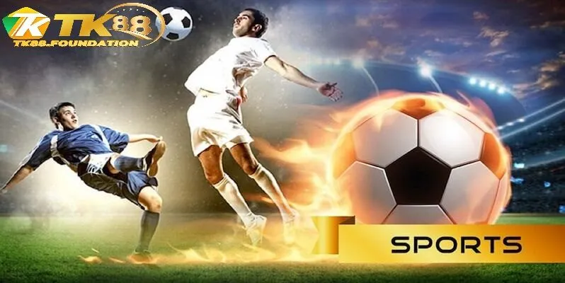 Tổng Quan Về Sảnh Cược CR Thể Thao Tk88