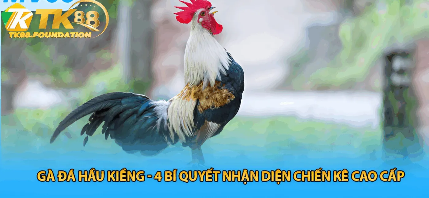 Chế Độ Dinh Dưỡng và Lưu Ý Khi Thi Đấu