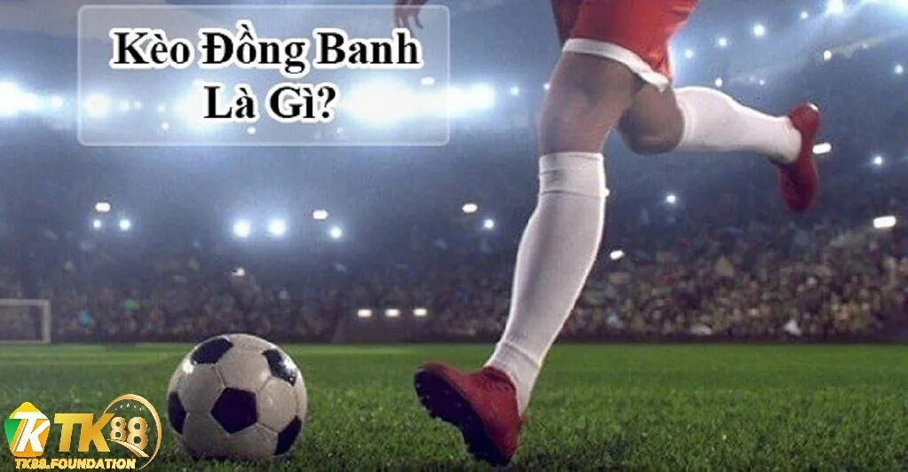 Lý do nên chọn Kèo Đồng Banh Tk88