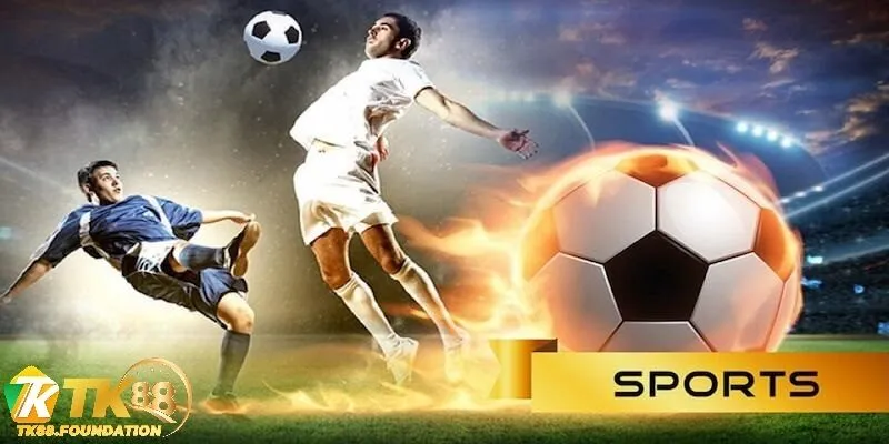 Các Bộ Môn Thể Thao Nổi Bật Tại SBO Thể Thao TK88