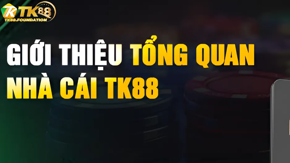Tổng Quan Về Nền Tảng Tk88